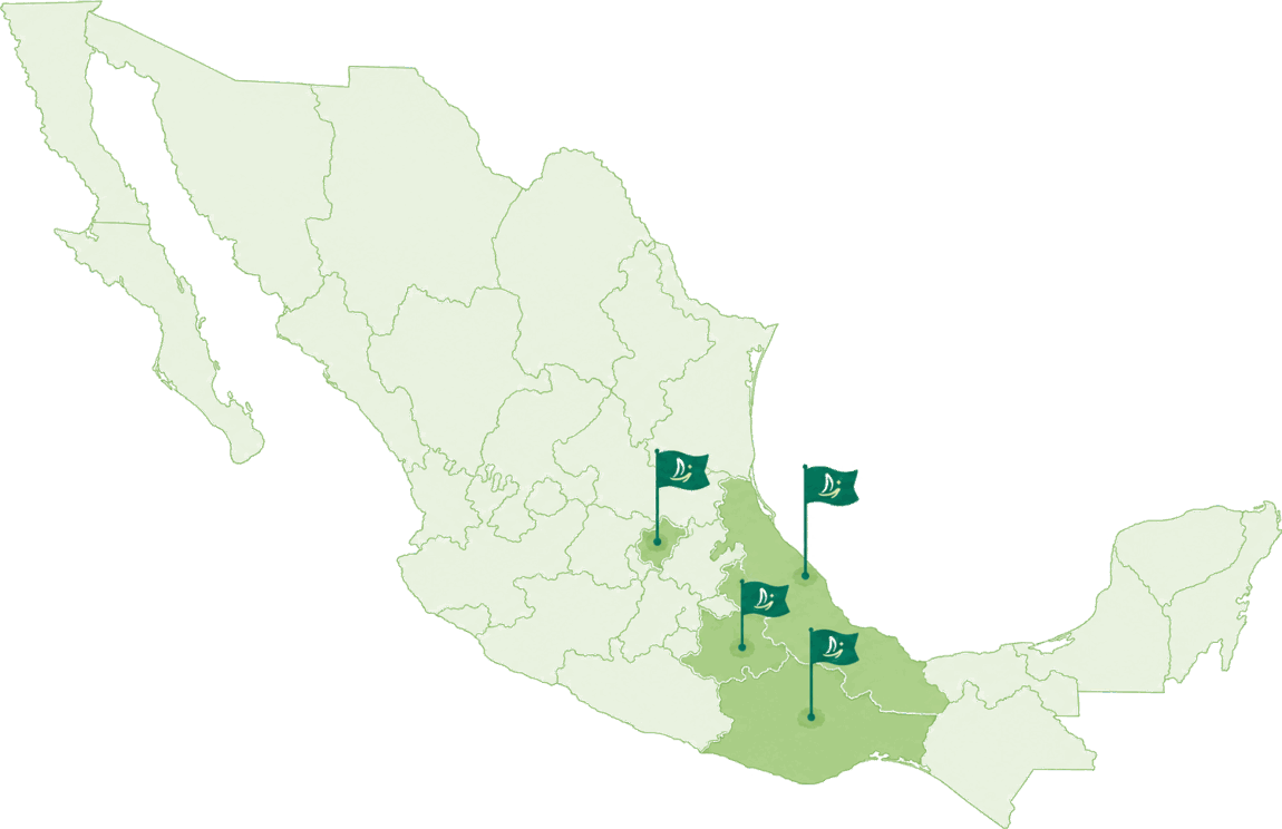 Mapa de México con los estados donde Green Seltik tiene presencia: Puebla, Veracruz, Oaxaca y Tlaxcala